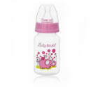 Baby Bruin 120 ml PP cumisüveg rózsa
