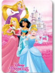 Disney Hercegnők polár takaró, pléd 100x140 cm Nr3