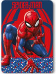 Marvel Pókember Watching Eyes polár takaró, pléd 100x140 cm Nr7