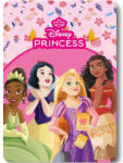 Disney Hercegnők Fairy Tale polár takaró, pléd 100x140 cm Nr2