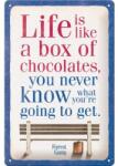 Nostalgic Art Germany Placă metalică 20 x 30 - Forrest Gump - Chocolate - Forest Gump Cutia de Ciocolata (2315)