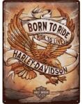 Nostalgic Art Germany Placă 30 x 40 - Harley Davidson - Born To Ride Eagle - Nascut pentru Drum (2152)