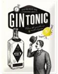 Nostalgic Art Germany Placă metalică 30 x 40 - Gin Tonic (1882)