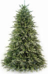 Thirea Brad de Crăciun Deaware Silver Fir 240cm cu 3934 Ramuri DWRS-96J2 (DWRS-96J2)