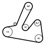 Continental Ctam Set curea transmisie cu caneluri CONTINENTAL CTAM 6PK1250K1 (6PK1250K1) - centralcar