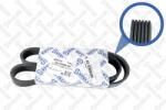 Stellox Többhornyú Szíj 6PK1000 Fiat Croma 2.4 20V 05