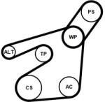 Continental Ctam Set curea transmisie cu caneluri CONTINENTAL CTAM 6PK1548K2 (6PK1548K2)