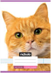 Nebulo Nebulo: Tűzött 4. osztályos vörös cica mintás vonalas füzet 21-32 A/5