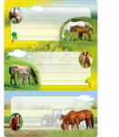 HERMA Herma: lovas füzet címke