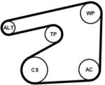 Continental Ctam Set curea transmisie cu caneluri CONTINENTAL CTAM 6PK1555K5 (6PK1555K5)