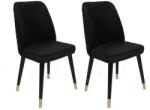 ASIR GROUP Étkezőszék szett (2 db) Hugo-366 V2 (974NMB1669)