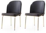 ASIR GROUP Étkezőszék szett (2 db) Dore - 128 V2 (974NMB1858)