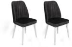 ASIR GROUP Étkezőszék szett (2 db) Alfa-497 V2 (974NMB1649)