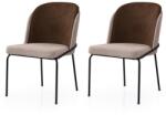 ASIR GROUP Étkezőszék szett (2 db) Dore - 193 V2 (974NMB1874)
