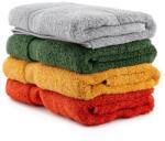 AG Kéztörlő Szett (4 db) Colorful 50 - Style 4 (317HBY3333)