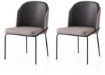 ASIR GROUP Étkezőszék szett (2 db) Dore - 196 V2 (974NMB1880)