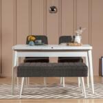 ASIR GROUP Étkezőgarnitúra(Kihúzható asztal, szék) (4 db) Vina 1053 - 3 - Antracit, Fehér (869VEL5326)