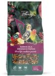 Sing & Song SING& SONG hrană pentru papagali de talie medie 500 g