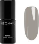 NEONAIL Unwritten Canvas unghii cu gel folosind UV / lampă cu LED culoare Walnut Poem 7.2 ml