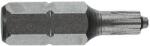  STANDARD bit 1/4' ' DIN/ISO 1173 C alak 6.3 Torx profil, L 25, DIM TTAP 40