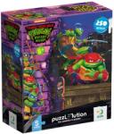 dodo Puzzle DoDo din 250 piese - Țestoasele Ninja: Leonardo și Rafael (200528) Puzzle