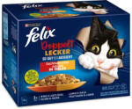 FELIX "Doppelt Lecker" macska tasak MP hús zselés 12x85g