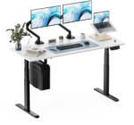 StableDesk Birou reglabil electric StableDesk Pro, 2 motoare, Ridica 125 kg, Organizator cabluri, Touchscreen, Aplicatie Smart Telefon, Ergonomic, 3 Functii de M (SD-101-NE-R-AL-120x67)