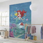 Disney Ariel Singing fotótapéta
