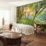 National Geographic Spring Lake fotótapéta