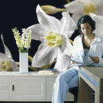 Komar Madonna fotótapéta