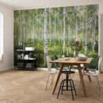 Komar Sunny Day fotótapéta