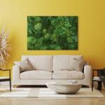 DUBLEZ Nyomtatott moha kép a falra | DUBLEZ