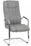 Chairs ON Scaun vizitator de birou OFF 8115, ergonomic, piele ecologica, cadru cromat tip sanie, 120 kg (00001017)
