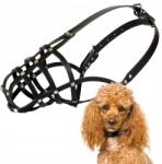 Dingo Kutyaszájkosár, Dingo Szegecselt Bőr NO. 1 (pofa kerülete 19cm) Uszkár (15121)