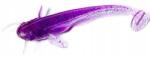 FishUp Műcsali Féreg Sumik FishUp Catfish Violet/Blue 5cm 10db spinning (10051103)