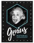 Nostalgic Art Germany Magnet 6 x 8cm - Einstein - Genius - Einstein Geniu (2062)