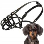 Dingo Szájkosár kutyáknak, Dingo Szegecselt Bőr NO. 2 (fang kerülete 23cm) Tacskó (15122)