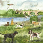 Alex Clark Képeslap Alex Clark borítékkal, 14x14 cm, folyópart kutyákkal (AC888)