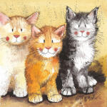 Alex Clark Képeslap Alex Clark borítékkal, 14x14 cm, 3 cica (AC323)