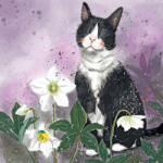 Alex Clark Képeslap Alex Clark borítékkal, 14x14 cm, cica virágokkal (AC880)
