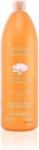 FarmaVita Argan Sublime Shampoo 1000ml Regeneráló hajsampon (8022033004895)