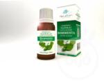  Természetes illóolaj borsmenta 10ml - vitaminhazhoz