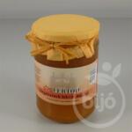 FERTŐD Drink sárgabarack lekvár mézzel 400 g - vitaminhazhoz