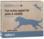 Nutravet Nutraquin+ 30 capsule articulare caini si pisici