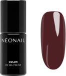 NEONAIL Unwritten Canvas unghii cu gel folosind UV / lampă cu LED culoare Classic Masterpiece 7.2 ml