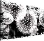 DEGRETS Vászonkép DEGRETS 78229, 40x60cm (78229)