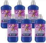 Coccolino Purple Orchid&Blueberries öblítőkoncentrátum, 6x1275ml