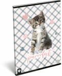 Lizzy Card Füzet tűzött A/4 vonalas 81-32 Kis Bagoly Purrrfect (22977246)