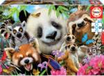 Educa Puzzle Animăluțele Black Eyed Friends Selfie Educa 300 piese de la 11 ani (EDU18610) Puzzle