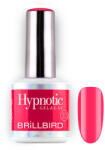 BrillBird TPO FREE Hypnotic HEMA Free Gel&Lac 4ml 33